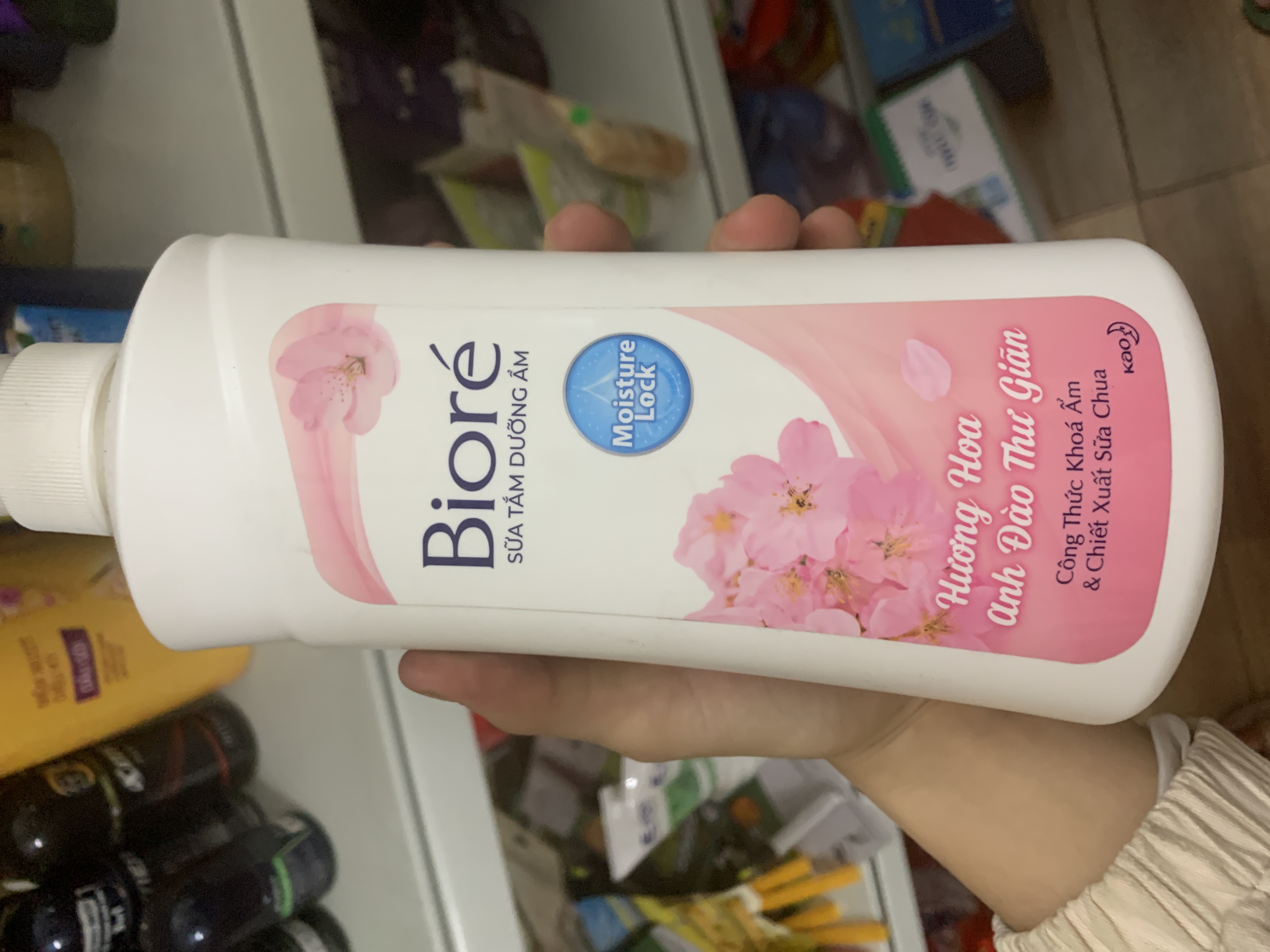 Vườn hoa anh đào thư dán